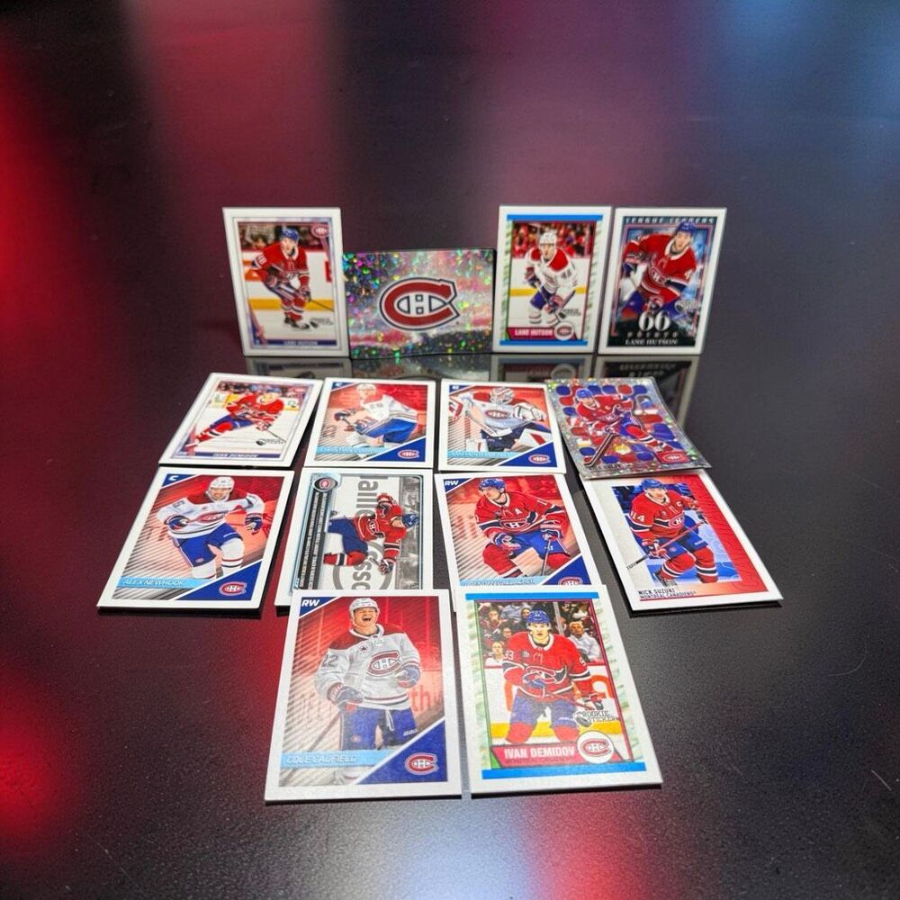 2024-25 Topps NHL Stickers Foil Base Mascot Outdoors Stars Team Lot Canadians
